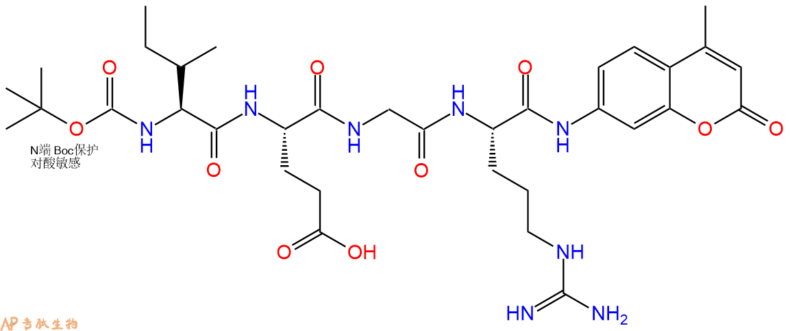 专肽生物产品标记肽Boc-IEGR-7-氨基-4-甲基香豆素，Factor Xa substrate65147-06-0