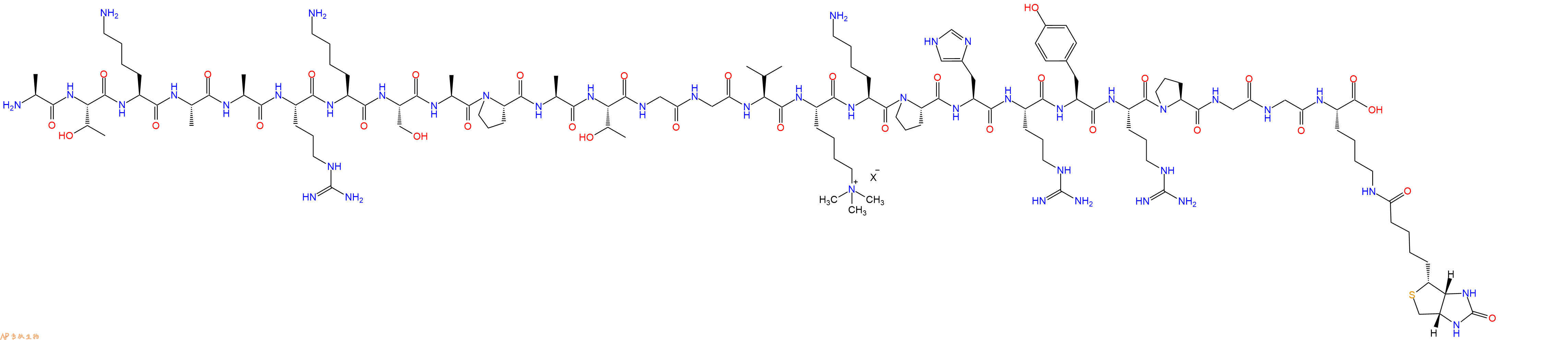 专肽生物产品组蛋白肽段[Lys(Me3)36]-Histone H3(21-44)-GK(Biotin)