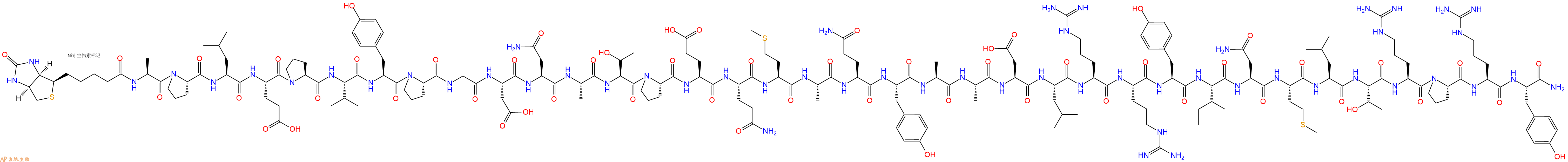 专肽生物产品胰腺多肽Biotin-PancreaticPoly Peptide , human1816258-36-2