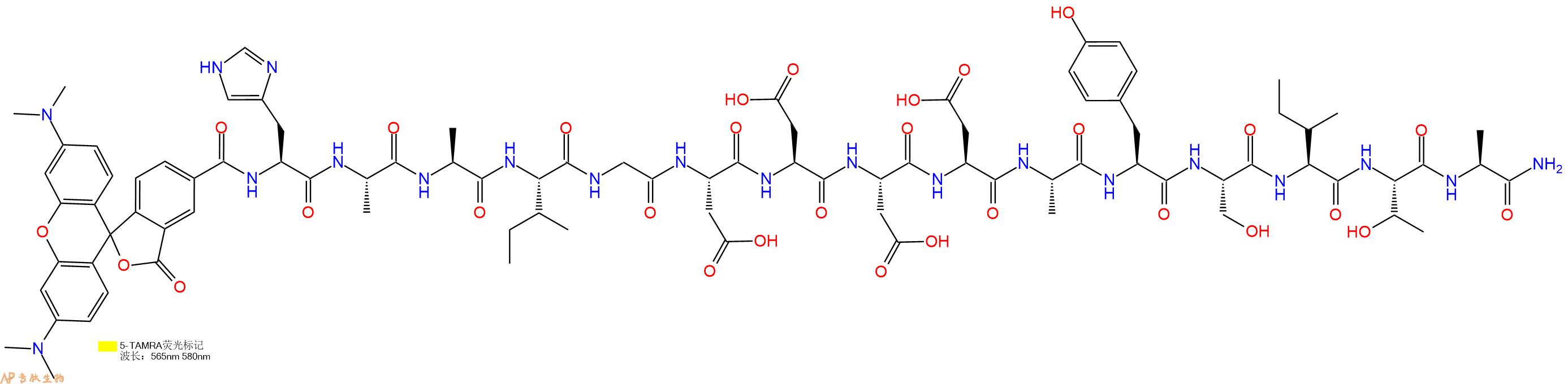 专肽生物产品5TAMRA-HAAIGDDDDAYSITA-NH2