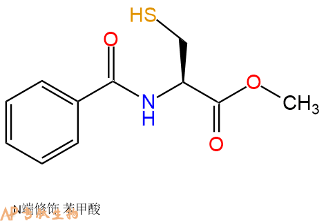 专肽生物产品Bzl-Cys-甲酯化5673-89-2