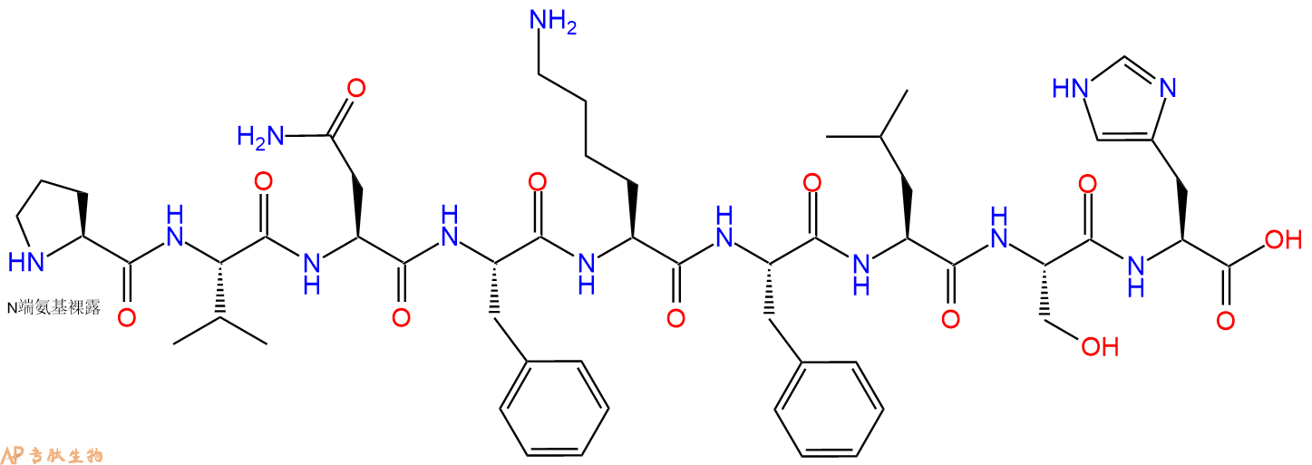 专肽生物产品Hemopressin(rat)568588-77-2