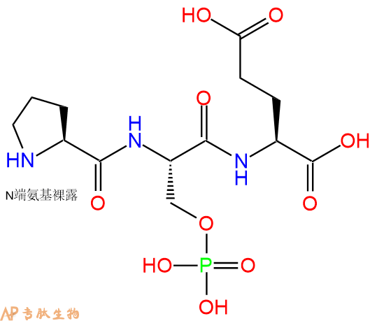 专肽生物产品三肽Pro-pSer-Glu1175008-04-4