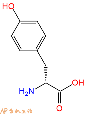 专肽生物产品　D-酪氨酸556-02-5