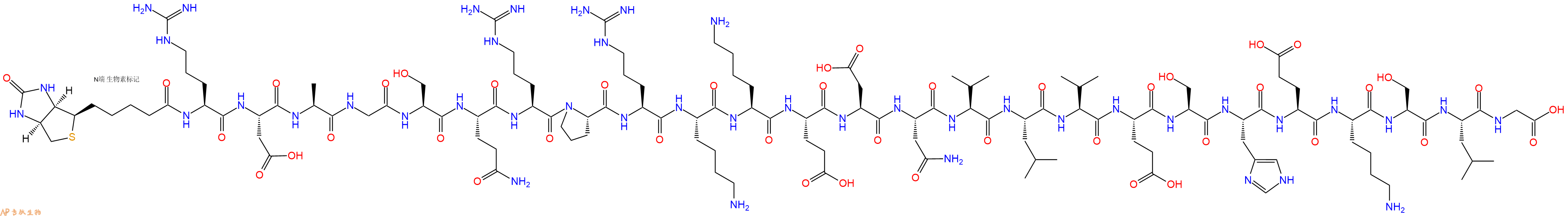 专肽生物产品生物素标记肽Biotin-RDAGSQRPRKKEDNVLVESHEKSLG198341-96-7
