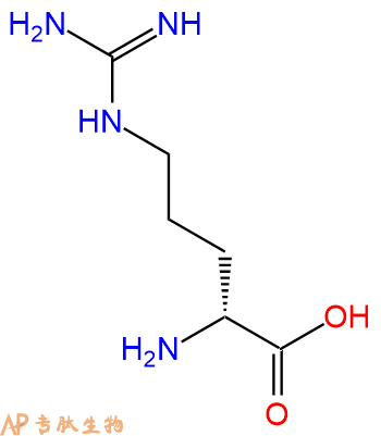 专肽生物产品　D-精氨酸157-06-2