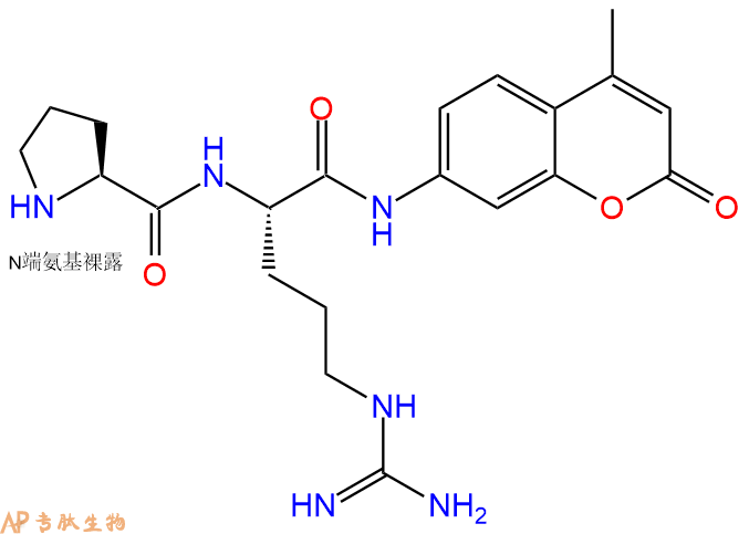 专肽生物产品二肽标记肽PR-7-氨基-4-甲基香豆素·2HCl546103-85-9