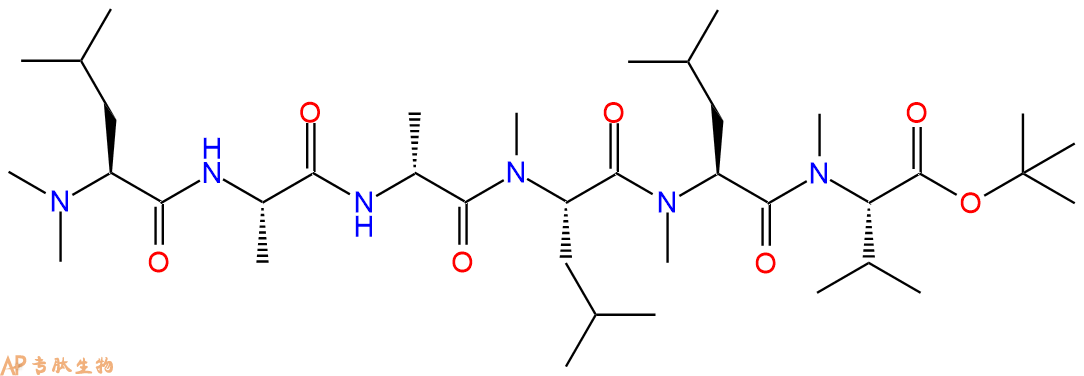 专肽生物产品六肽(NMe)Leu-A-DAla-(NMe)Leu-(NMe)Leu-(NMe)Val-OtBu117194-68-0