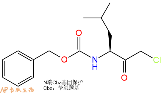 多肽生物产品CMK修饰肽：Z-Leu-CMK52467-54-6