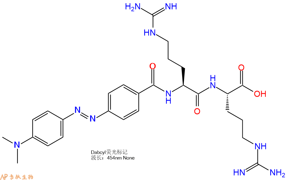 专肽生物产品二肽DABCYL修饰肽：DABCYL-RR-OH; DABCYL-Arg-Arg-OH1010104-67-2