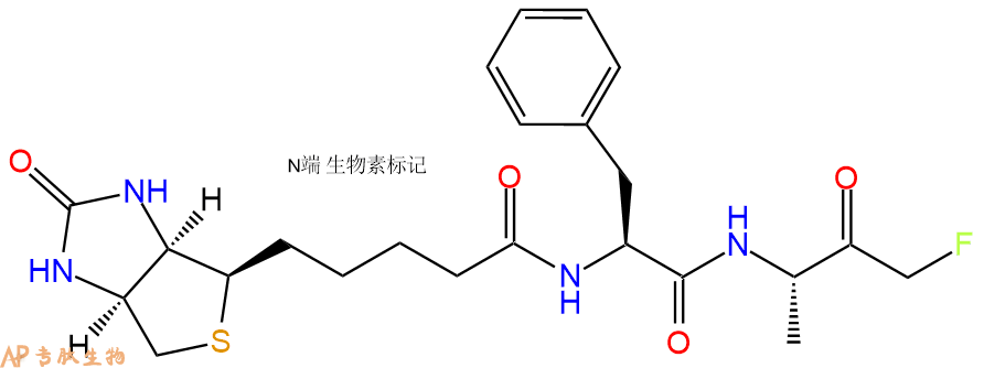 专肽生物产品二肽biotin-Phe-Ala-fluoromethyl ketone346617-50-3