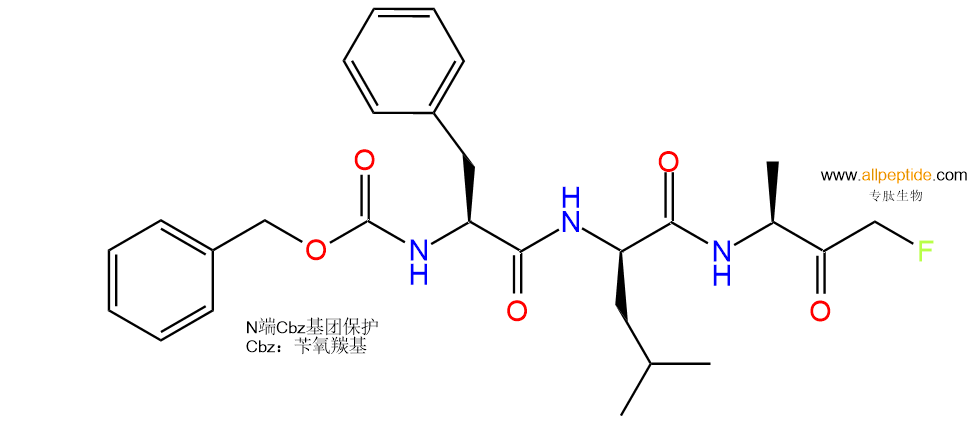 专肽生物产品抑制剂 of cysteine proteases； Z-Phe-DL-Ala-FMK197855-65-5