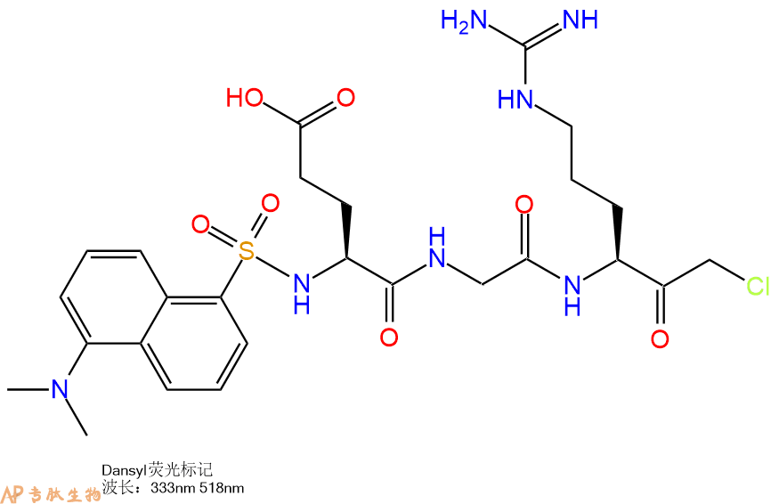 多肽生物产品Dansyl修饰肽：Dansyl-Glu-Gly-Arg-CMK69024-84-6