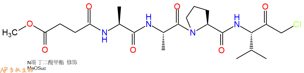 专肽生物产品四肽MeOSuc-Ala-Ala-Pro-Val-CMK65144-34-5