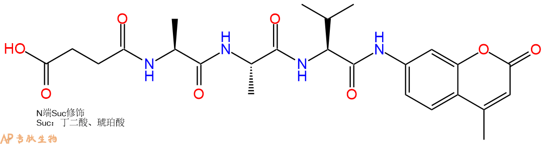 专肽生物产品标记肽Suc-AAV-7-氨基-4-甲基香豆素128972-90-7