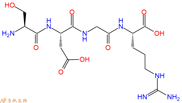 专肽生物产品四肽Ser-Asp-Gly-Arg