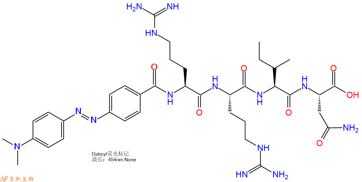 专肽生物产品DABCYL修饰肽：DABCYL-RRIN-OH; DABCYL-Arg-Arg-Ile-Asn-O1010104-65-0