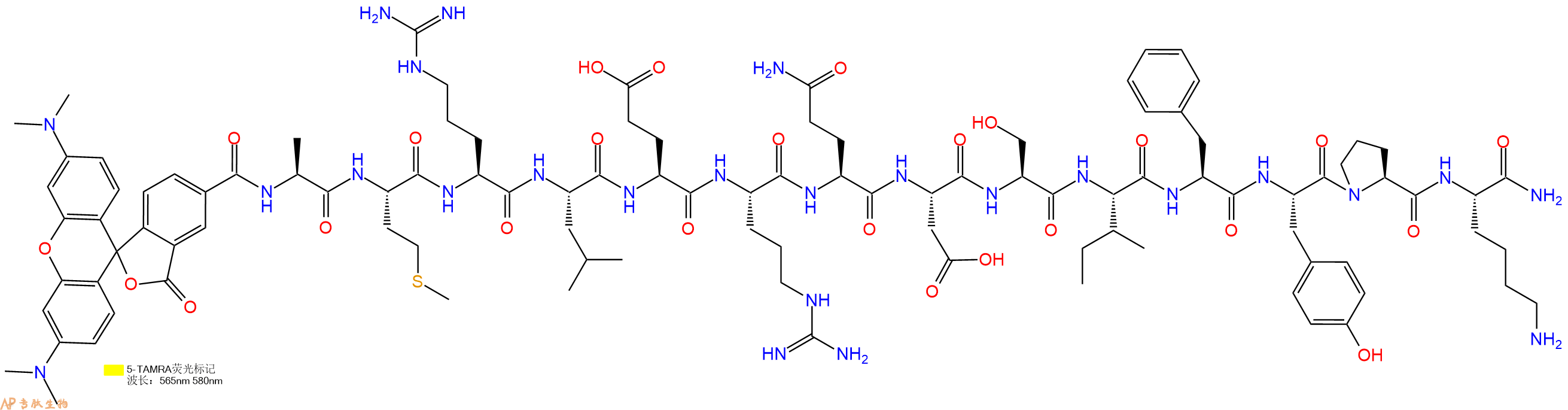 专肽生物产品5TAMRA-AMRLERQDSIFYPK-NH2