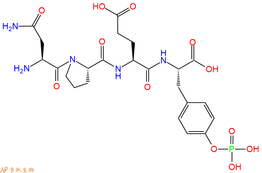 专肽生物产品磷酸化肽：H-Asn-Pro-Glu-Tyr(PO3H2)-OH290810-63-8