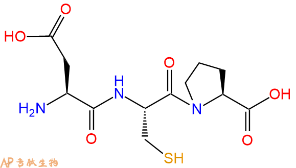 专肽生物产品三肽Asp-Cys-Pro