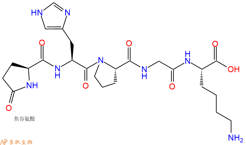 专肽生物产品促甲状腺激素释放激素片段Glp-His-Pro-Gly-Lys 