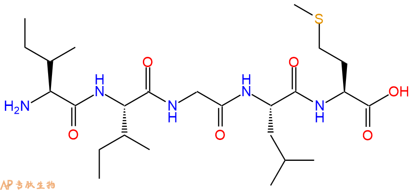 专肽生物产品淀粉肽Amyloid β-Protein (31-35)、Aβ31-35149385-65-9
