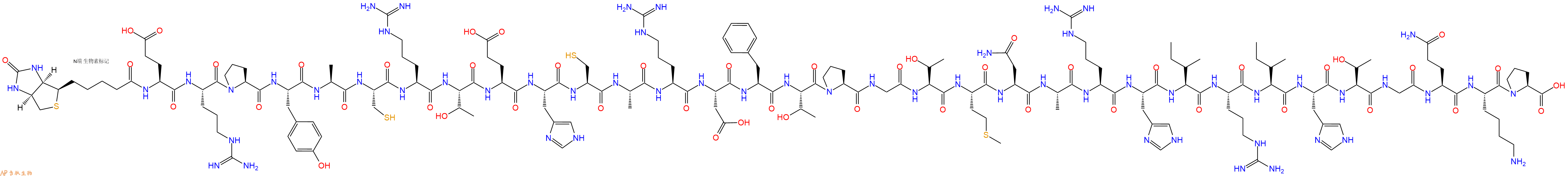 专肽生物产品生物素标记肽Biotin-Glu-Arg-Pro-Tyr-Ala-Cys-Arg-Thr-Glu-H
