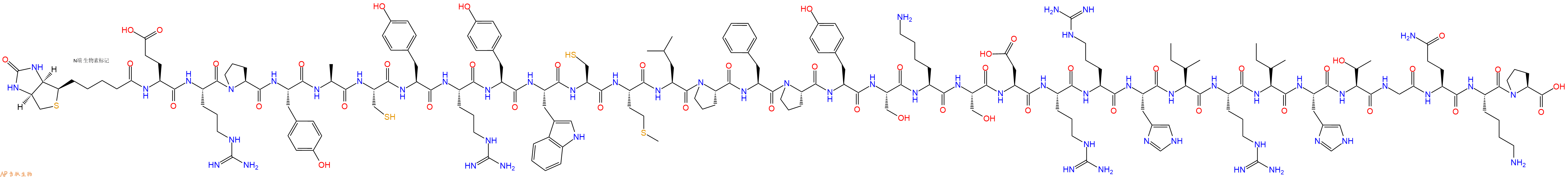 专肽生物产品生物素标记肽Biotin-Glu-Arg-Pro-Tyr-Ala-Cys-Tyr-Arg-Tyr-T