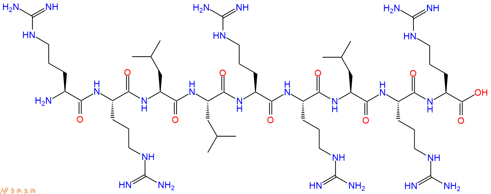 专肽生物产品九肽RRLLRRLRR