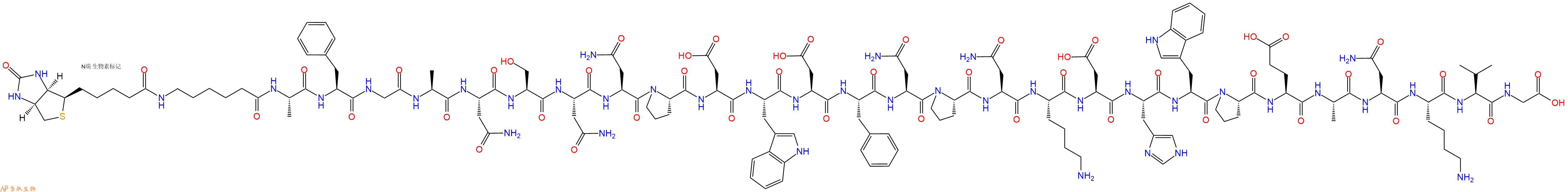 专肽生物产品生物素标记肽Biotin-Acp-Ala-Phe-Gly-Ala-Asn-Ser-Asn-Asn-P