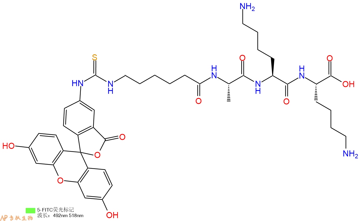 专肽生物产品四肽FITC-Acp-Ala-Lys-Lys