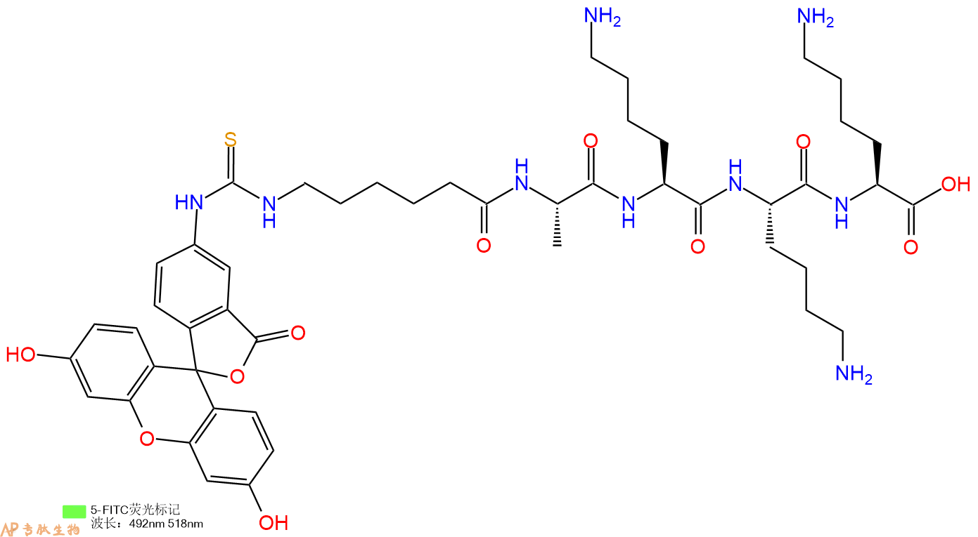 专肽生物产品五肽FITC-Acp-Ala-Lys-Lys-Lys