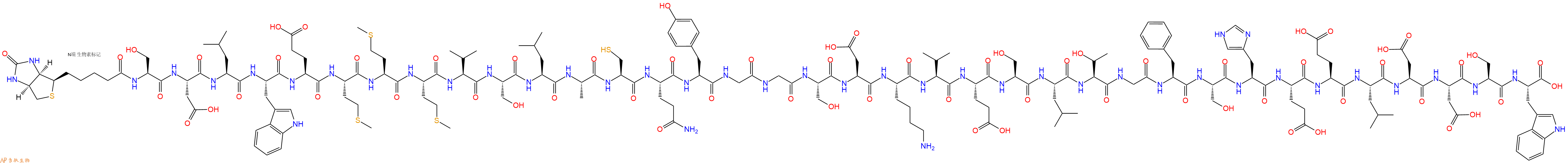 专肽生物产品生物素标记肽Biotin-Ser-Asp-Leu-Trp-Glu-Met-Met-Met-Val-S