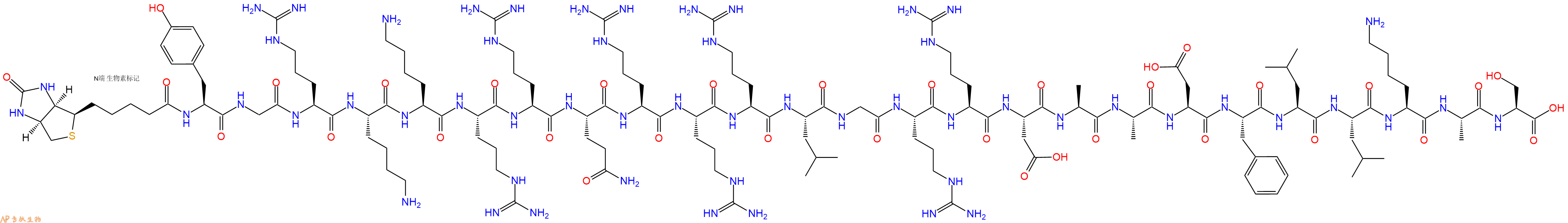 专肽生物产品生物素标记肽Biotin-YGRKKRRQRRRLGRRDAADFLLKAS