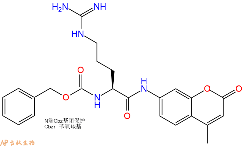 专肽生物产品Cbz-Arg-7-氨基-4-甲基香豆素62037-44-9