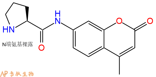 专肽生物产品Pro-7-氨基-4-甲基香豆素115388-93-7
