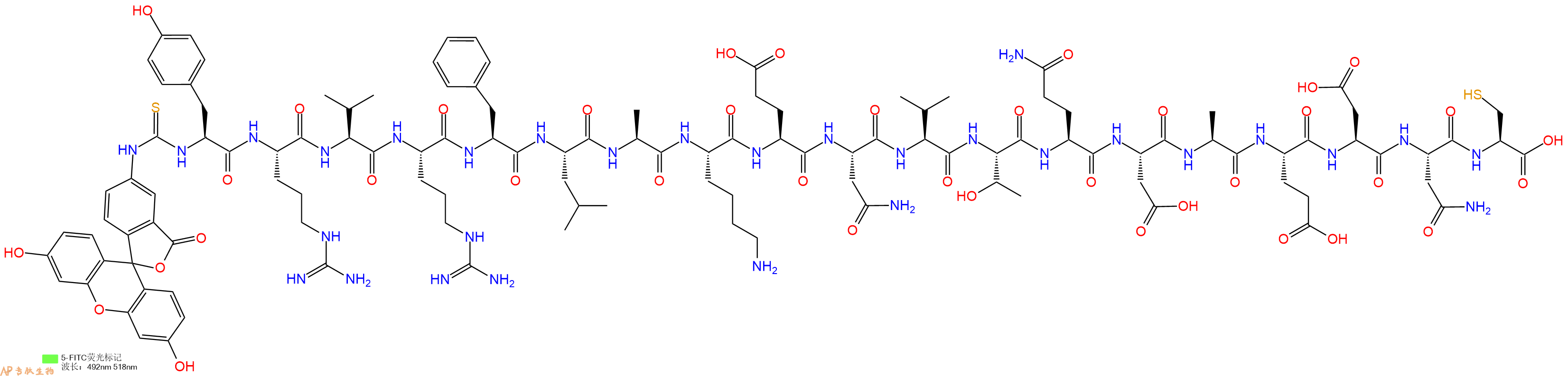 专肽生物产品十九肽Fitc-YRVRFLAKENVTQDAEDNC