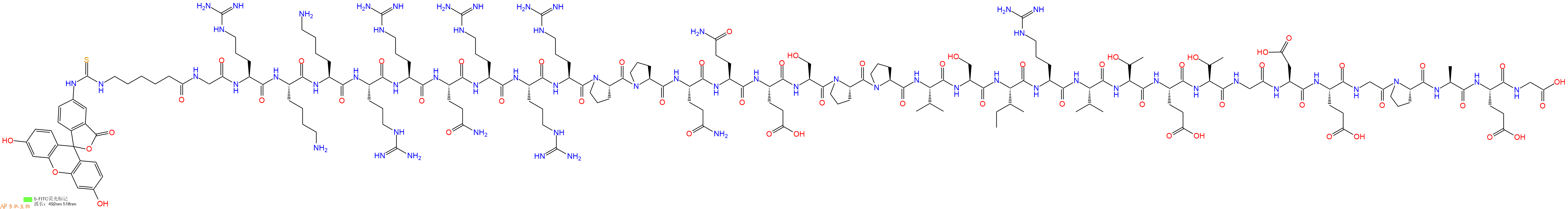 专肽生物产品FITC-Acp-Gly-Arg-Lys-Lys-Arg-Arg-Gln-Arg-Arg-Arg-P