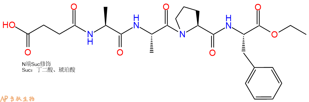 专肽生物产品四肽Suc-Ala-Ala-Pro-Phe-乙酯化