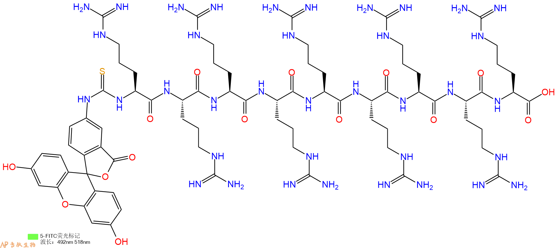 专肽生物产品FITC标记九聚精氨酸肽、FITC-R9