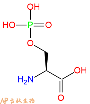 专肽生物产品Ser(PO3H2)