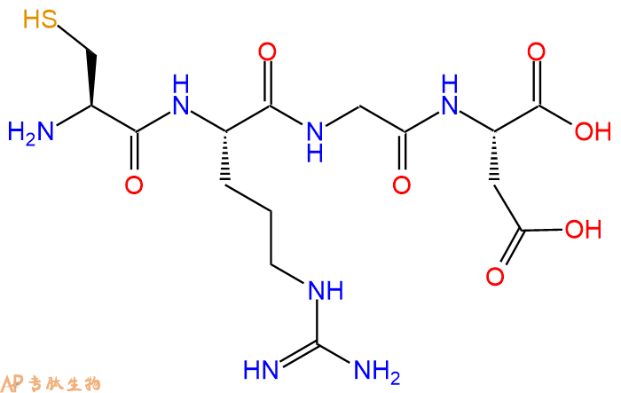 专肽生物产品SH-RGD多肽、Cys-RGD多肽，Cys-RGD
