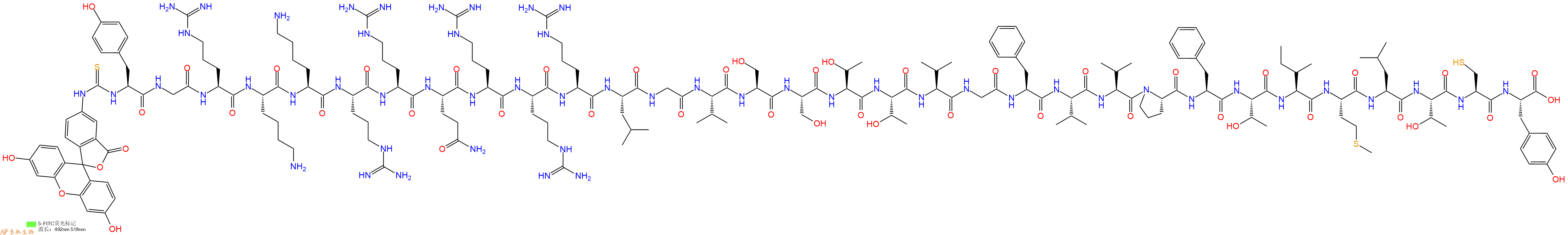 专肽生物产品FITC-Tyr-Gly-Arg-Lys-Lys-Arg-Arg-Gln-Arg-Arg-Arg-L