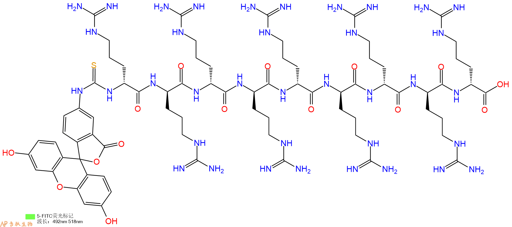 专肽生物产品FITC标记九聚D型精氨酸肽、FITC-r9