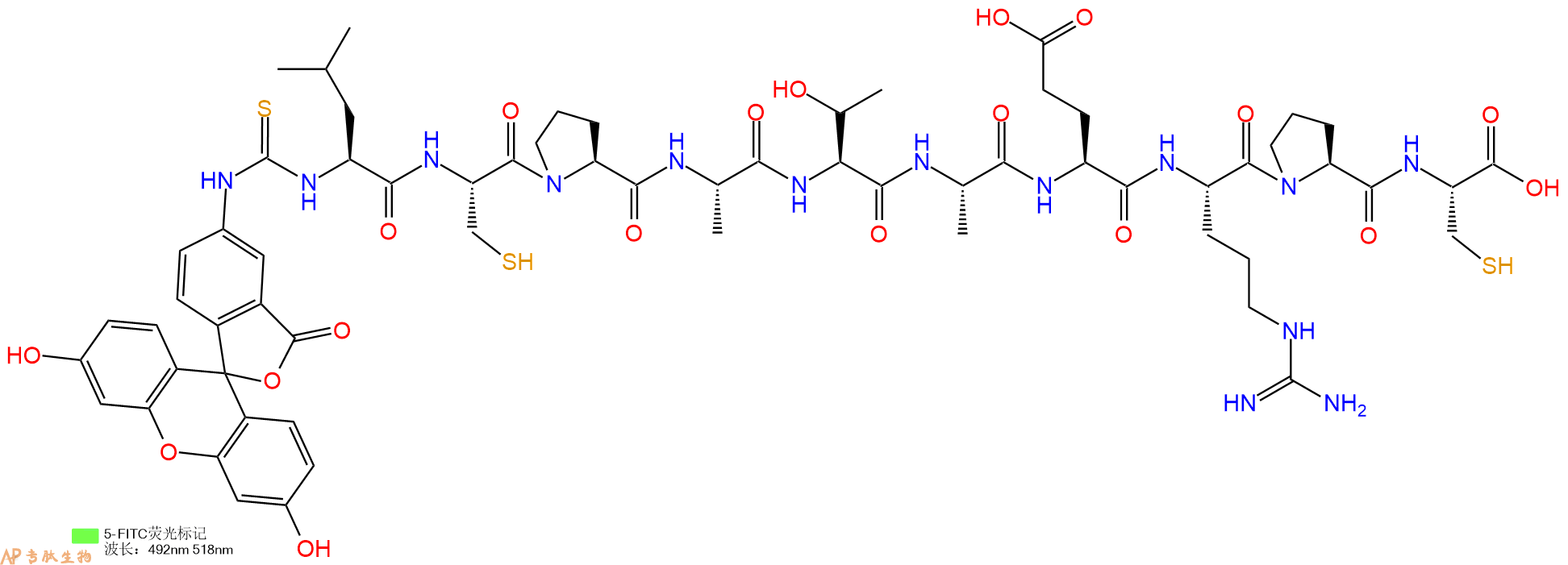 专肽生物产品十肽Fitc-LCPATAERPC