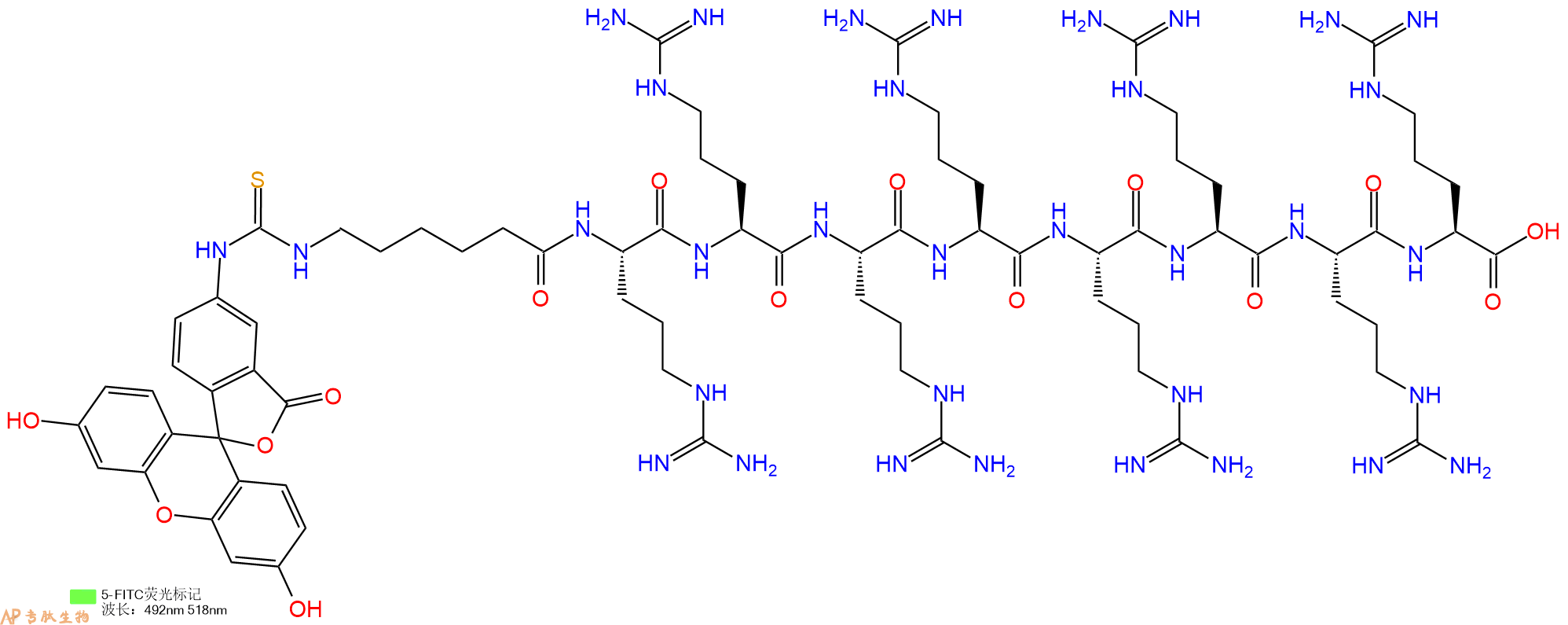 专肽生物产品九肽Fitc-Acp-RRRRRRRR
