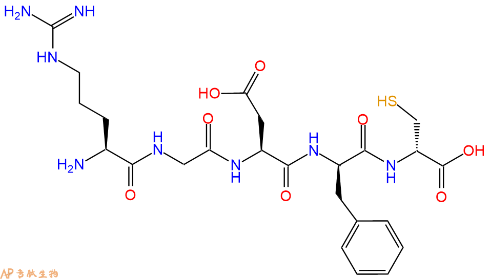 专肽生物产品五肽Arg-Gly-Asp-DPhe-DCys