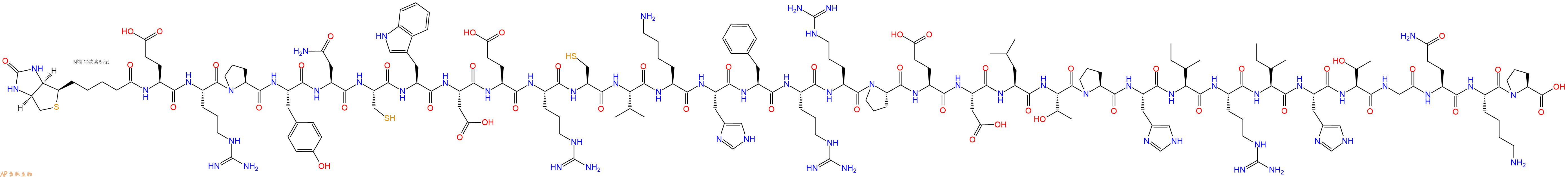 专肽生物产品生物素标记肽Biotin-Glu-Arg-Pro-Tyr-Asn-Cys-Trp-Asp-Glu-A