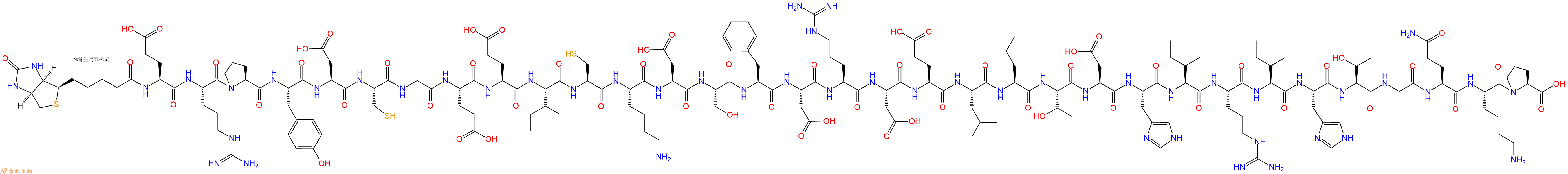 专肽生物产品生物素标记肽Biotin-Glu-Arg-Pro-Tyr-Asp-Cys-Gly-Glu-Glu-I