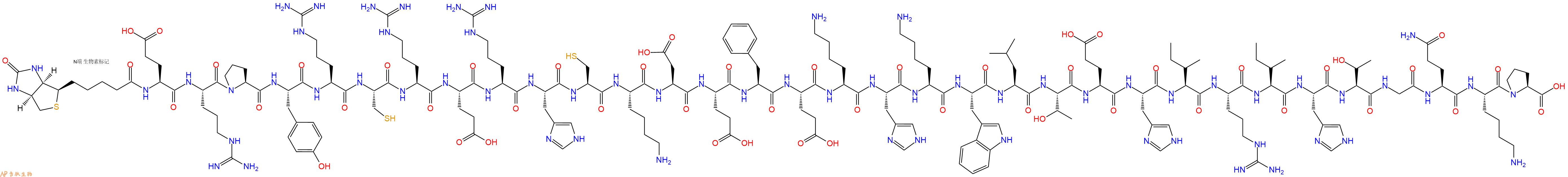 专肽生物产品生物素标记肽Biotin-Glu-Arg-Pro-Tyr-Arg-Cys-Arg-Glu-Arg-H